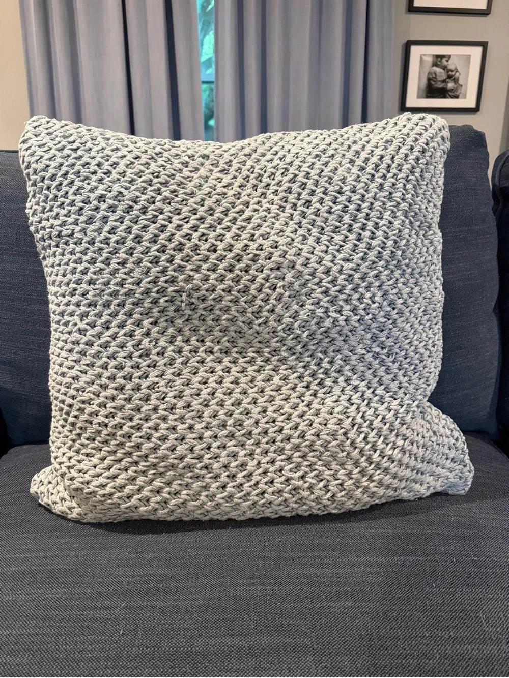 SET OF TWO Pottery Barn throw pillows